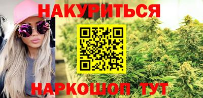 гидра Беслан