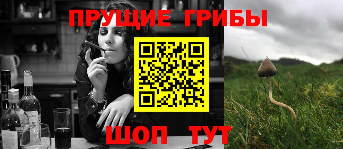 Галлюциногенные грибы Psilocybine cubensis  Вход с VPN  Касимов 